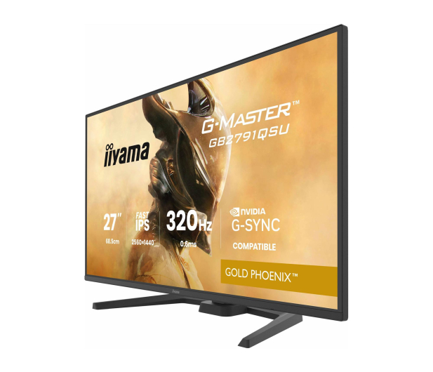 IIYAMA G-Master GB2791QSU-B1 Gold Phoenix - 1490163 - zdjęcie 9